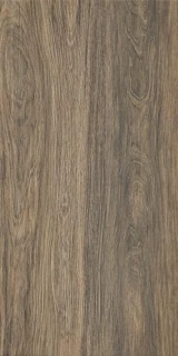 DLAŽBA TIZURA BROWN 29,7X59,8