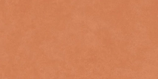 OBKLAD VIDAL TERRACOTTA 29,8X59,8 REKT. SATIN